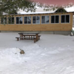 Chemong 5 Rental Cabin at Fernleigh Lodge -1